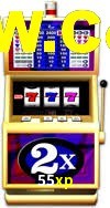 VIP Casino 55xp